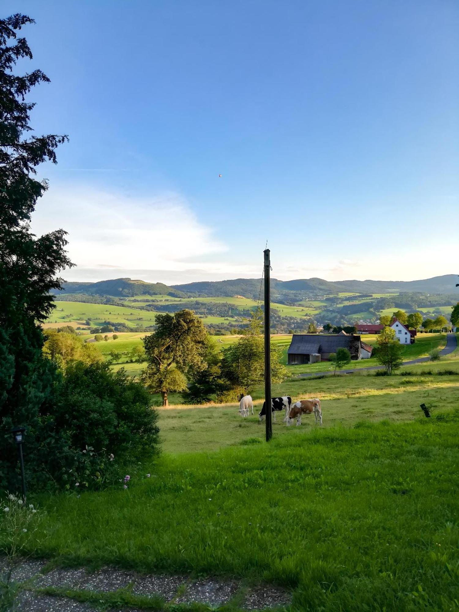 Apartment Rhoenpanorama Gersfeld